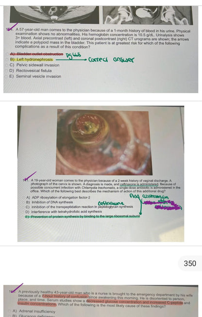 NBME Customized Subject Test [Direct Screenshots Package] – Ace Your Med School Exams with Precision!